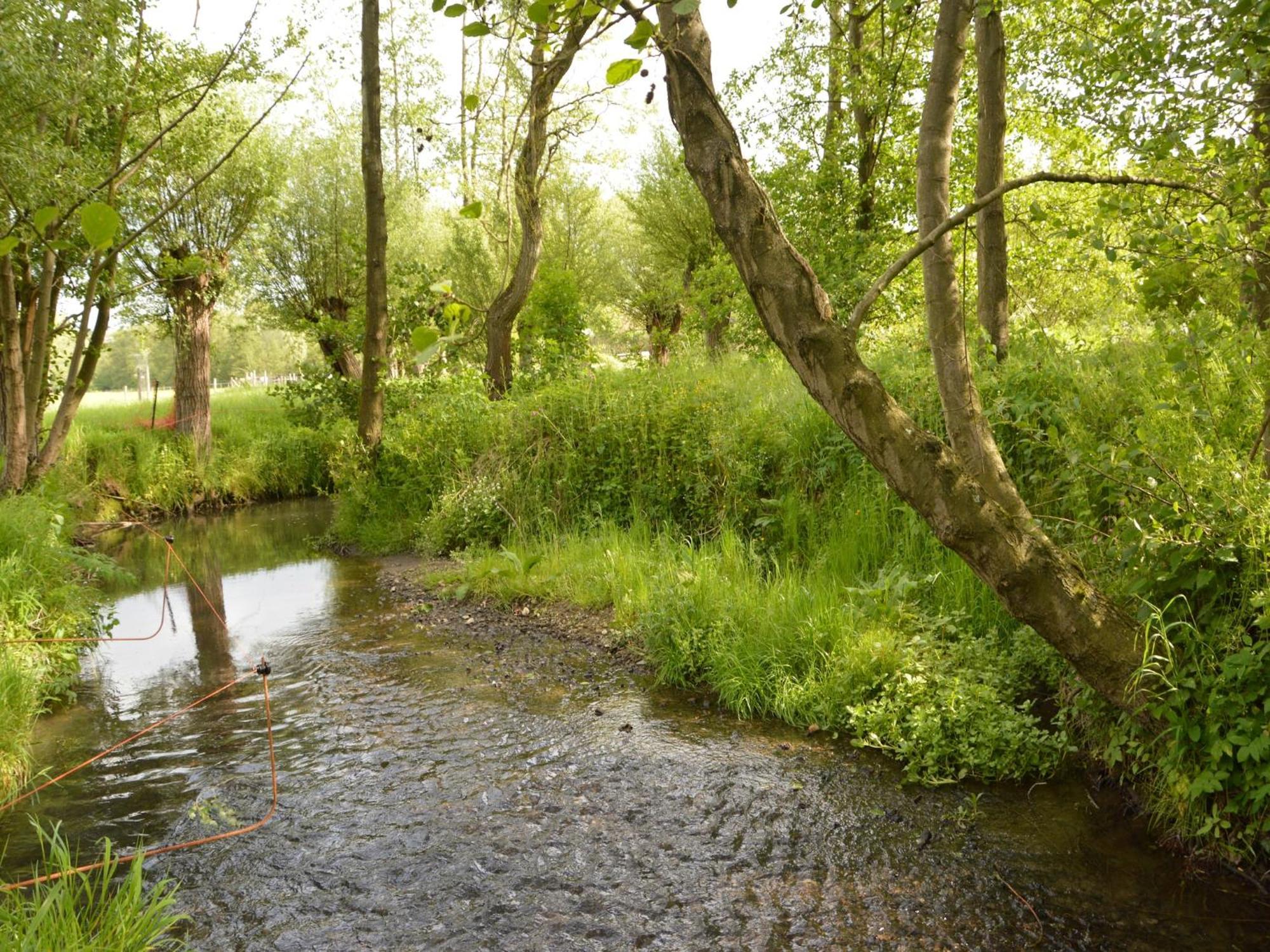 Stunning Holiday Home Near Forest In Сленакен Екстер'єр фото